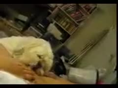 The wide-eagle hairless floozy being snatched and licked by a dog is featured in this sensational point-of-view film.